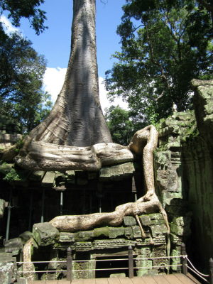 Ta Prohm