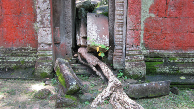 Ta Prohm