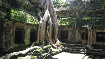 Ta Prohm