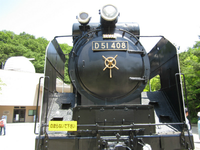 D51