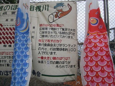 ĵڂ葊͐
