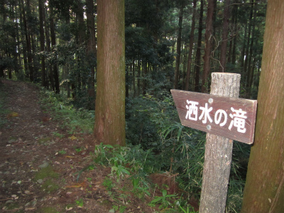 ̑