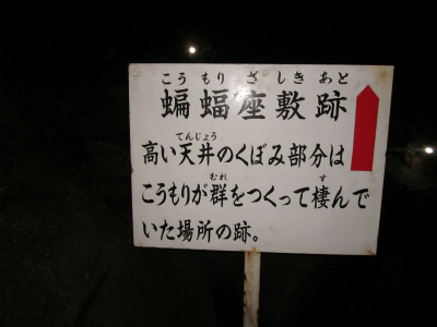 啍~