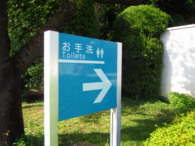 gC