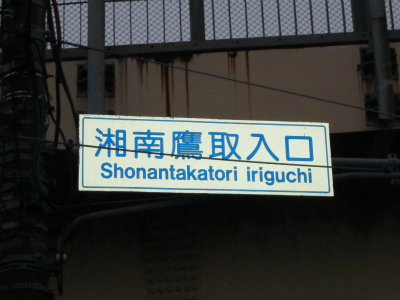 Ó