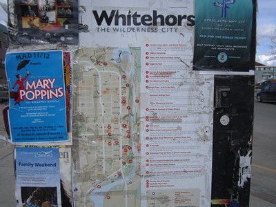 white horsen}